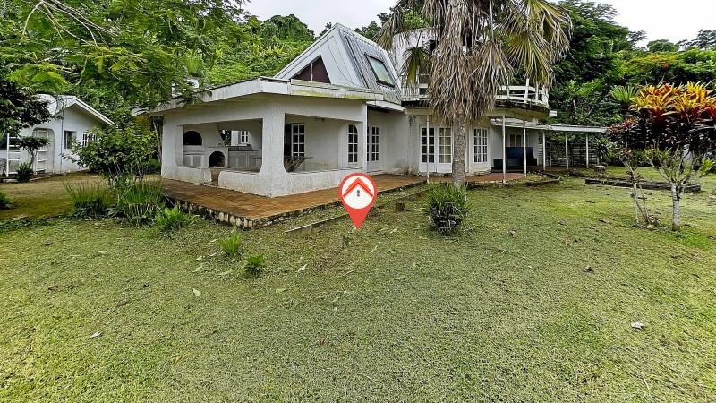 Papaya Estate