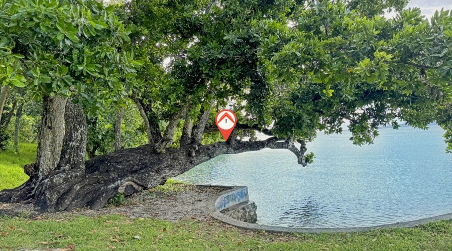 Paradise Location