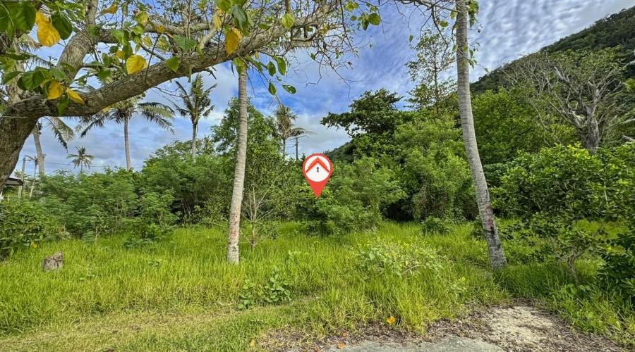 Paradise Location