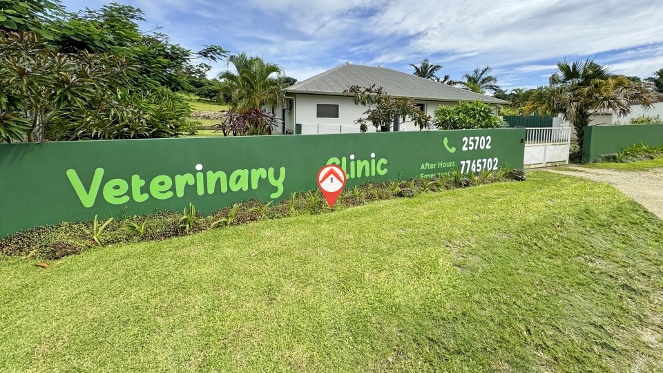 Unique Rental Property