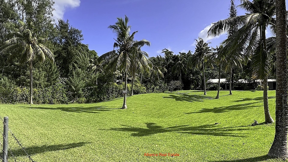 Beachside Beauty For Budget Buyers