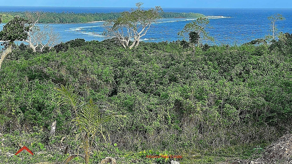 Le Plateau 